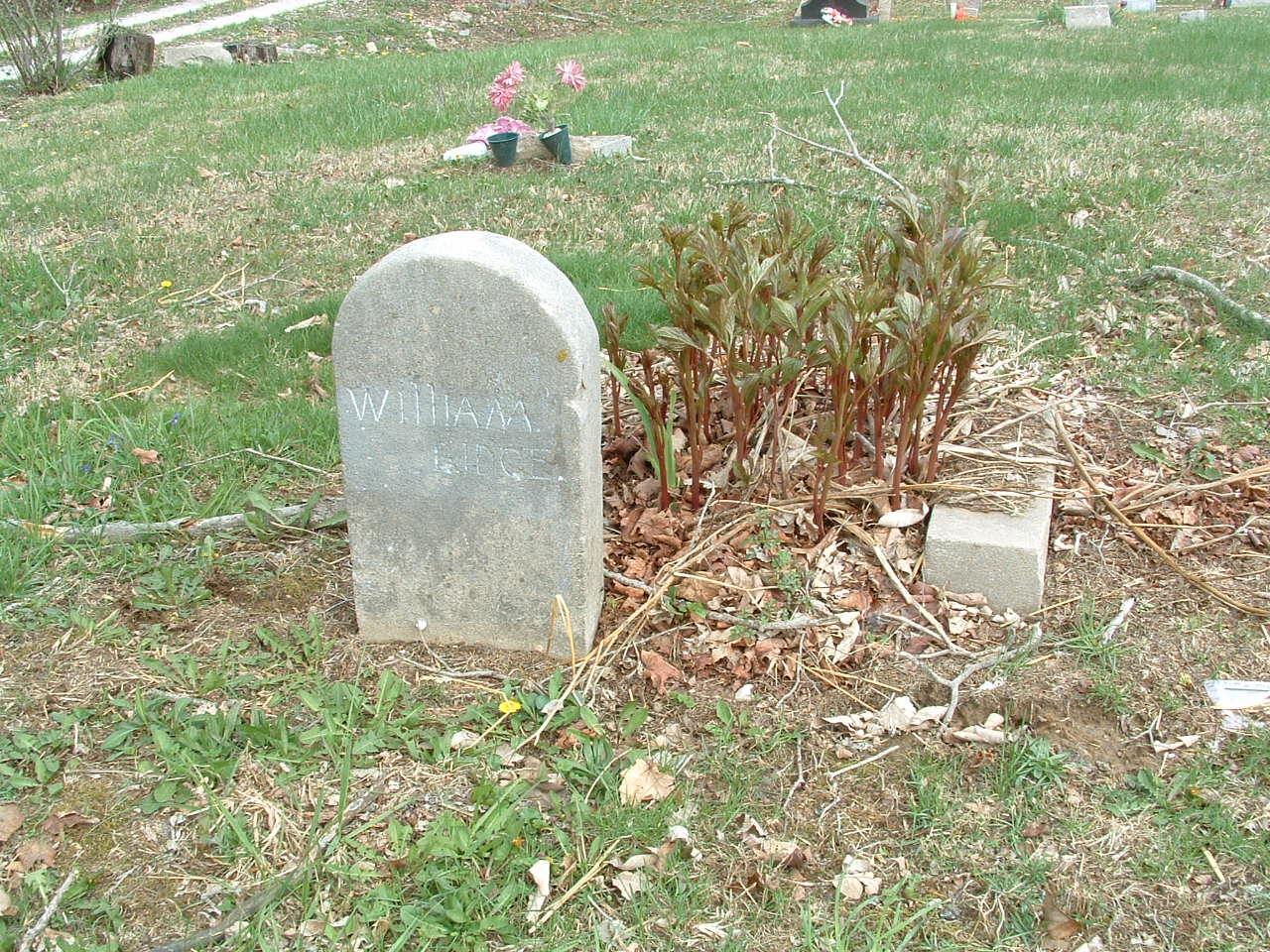 Lucas Cemetery Photos